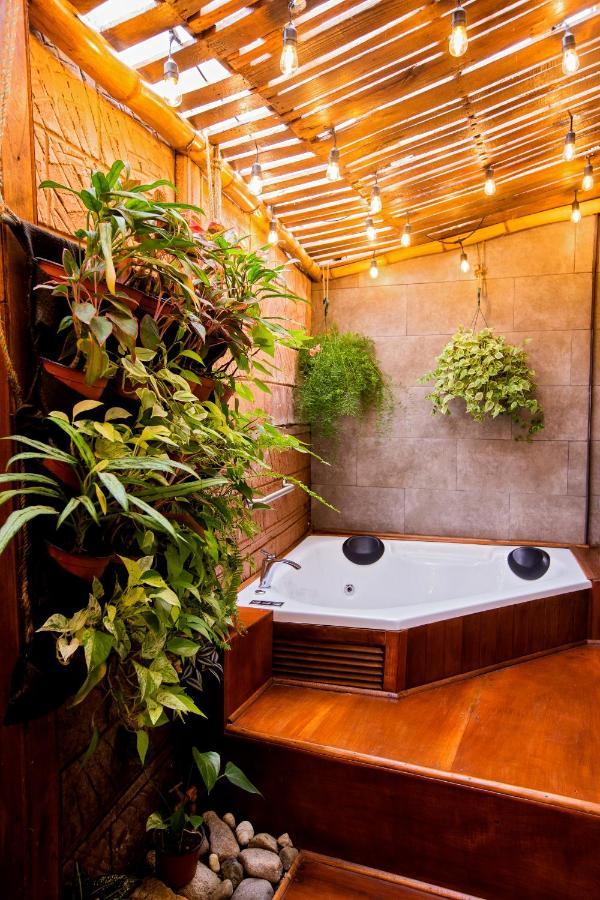 Casa Suculenta ,Monteverde Con Jacuzzi Privado Y Lavanderia Exterior photo